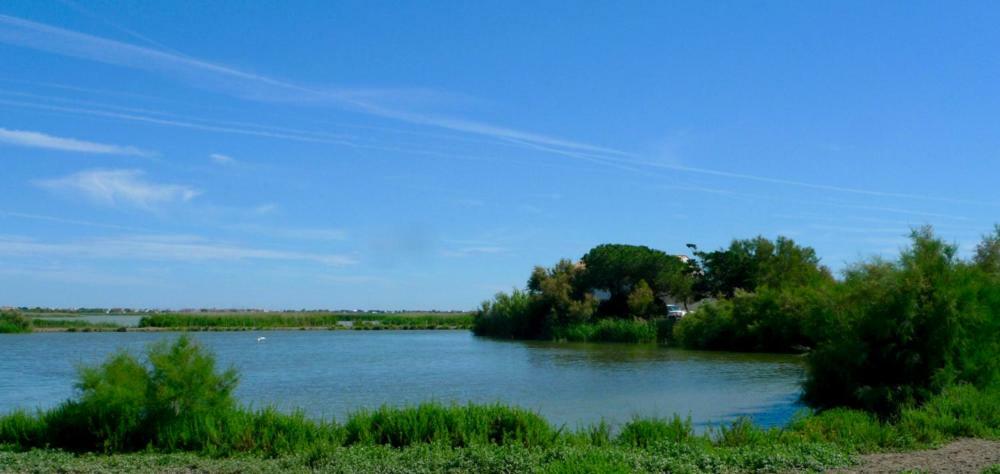 Mas Des Cabidoules Bed and Breakfast Saintes-Maries-de-la-Mer Eksteriør billede